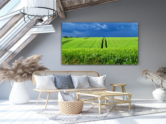 M1 0007 P M 0034 2644037 green grass field with dramatic beautiful sky background digital AOAY2087