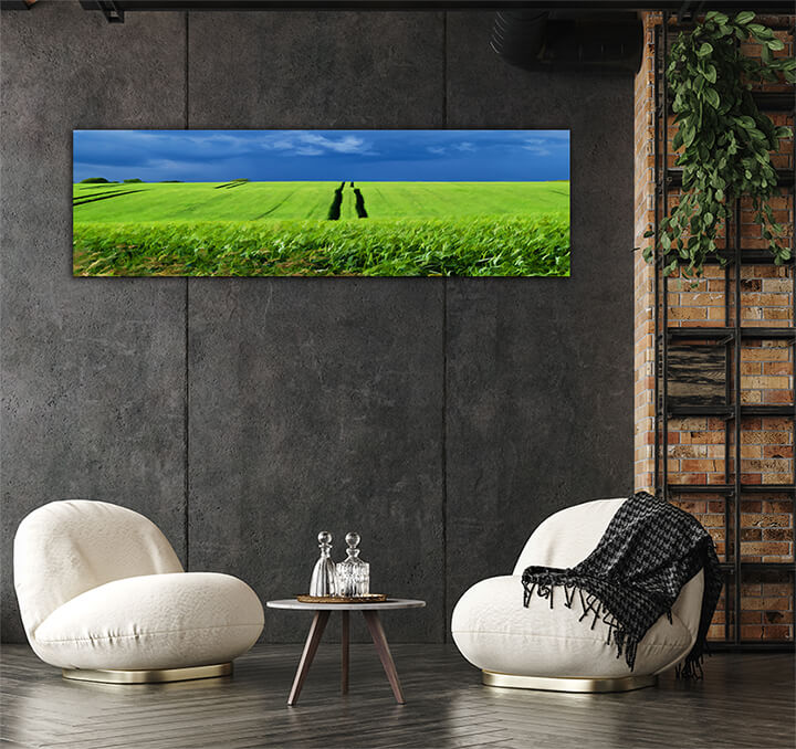 M2 0011 P M 0034 2644037 green grass field with dramatic beautiful sky background digital AOAY2087