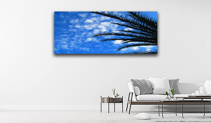 M3 0000 MOCKUP LAND 0003 23931016 palm on sky AOAY1540