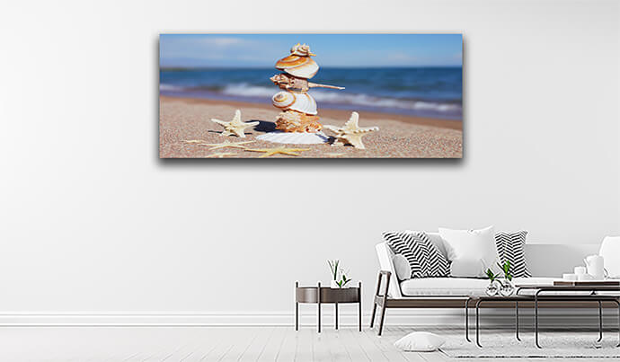 M3 0002 MOCKUP LAND 0001 32274360 sea shells and starfish on the beach sandy beach sea AOAY1549