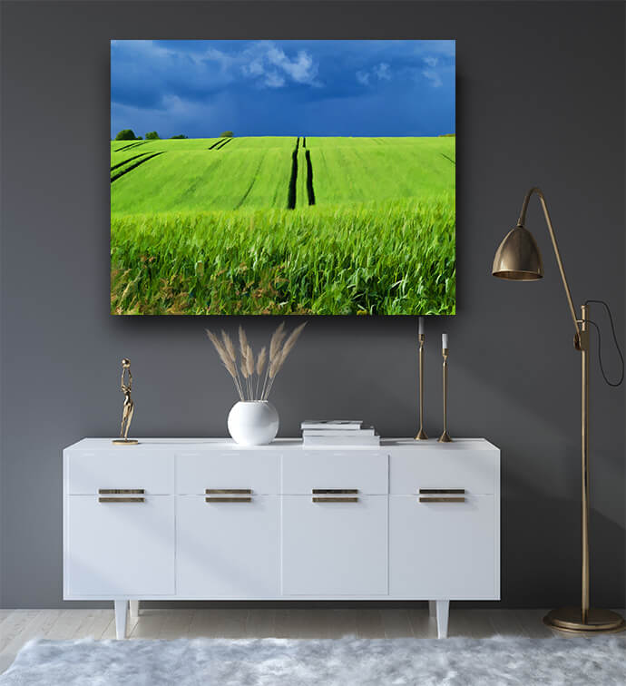 M3 0009 P M 0034 2644037 green grass field with dramatic beautiful sky background digital AOAY2087