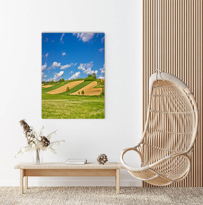 M4 0009 P M Portriate 0025 P M 0029 9845336 green agricultural landscape under blue sky AOAY2098