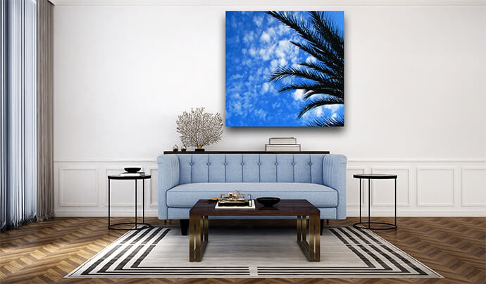 M5 0000 MOCKUP LAND 0003 23931016 palm on sky AOAY1540