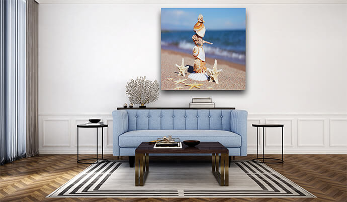 M5 0002 MOCKUP LAND 0001 32274360 sea shells and starfish on the beach sandy beach sea AOAY1549