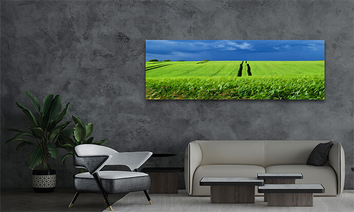 M5 0005 P M 0034 2644037 green grass field with dramatic beautiful sky background digital AOAY2087