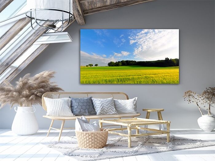 M1 0005 P M 0001 1113269 wheat field AOAY2085