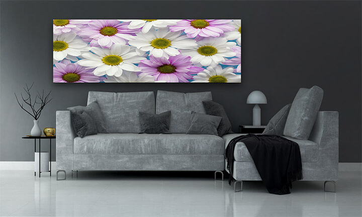 M2 0014 MOCKUPs 0003 39522300 flat lay colorful spring daisies high quality beautiful AOAY2157