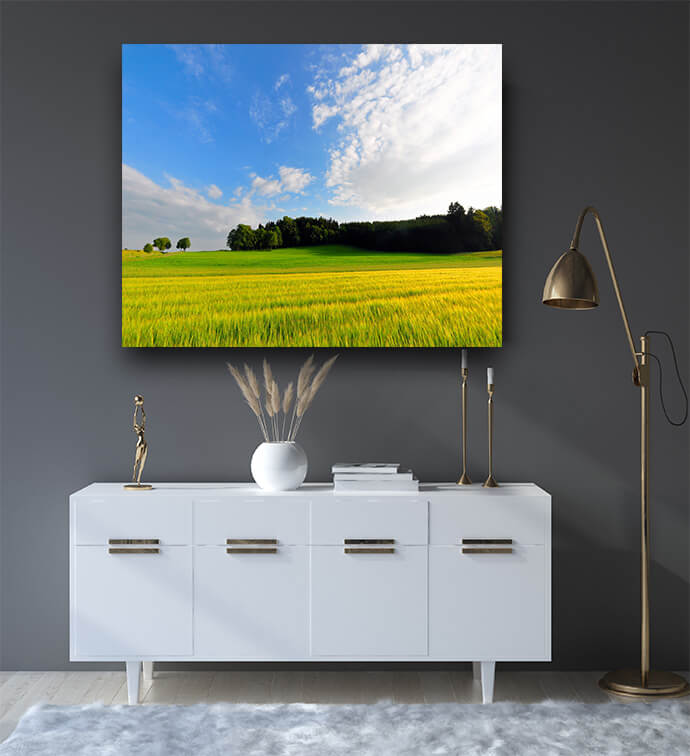 M3 0007 P M 0001 1113269 wheat field AOAY2085