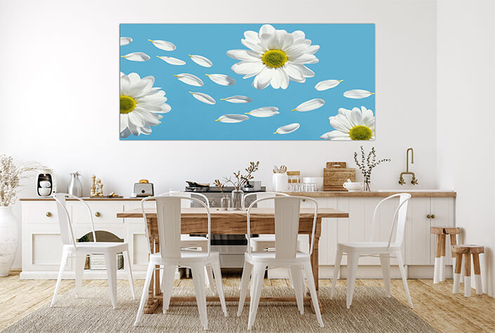 Flat Lay Spring Daisies with Petals High Quality Beautiful AOAY2155