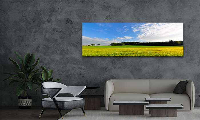 Untitled 7 0003 P M 0001 1113269 wheat field AOAY2085