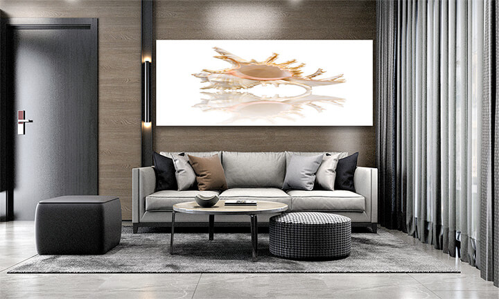 11 0015 ML 0000 1349972 cockleshell with reflection on the white surface AOAY2426