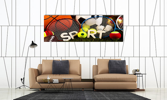 M10 0005 ML 0020 16836464 game sports equipment natural colorful tone AOAY2621