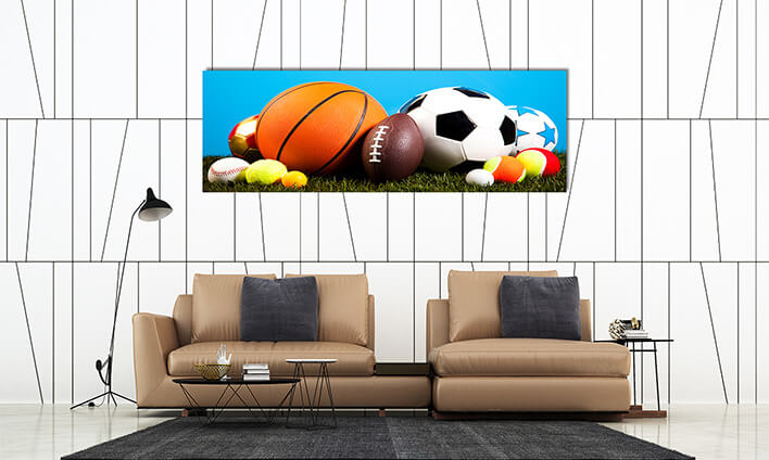 M10 0006 ML 0019 16836544 sports equipment detail natural colorful tone AOAY2622