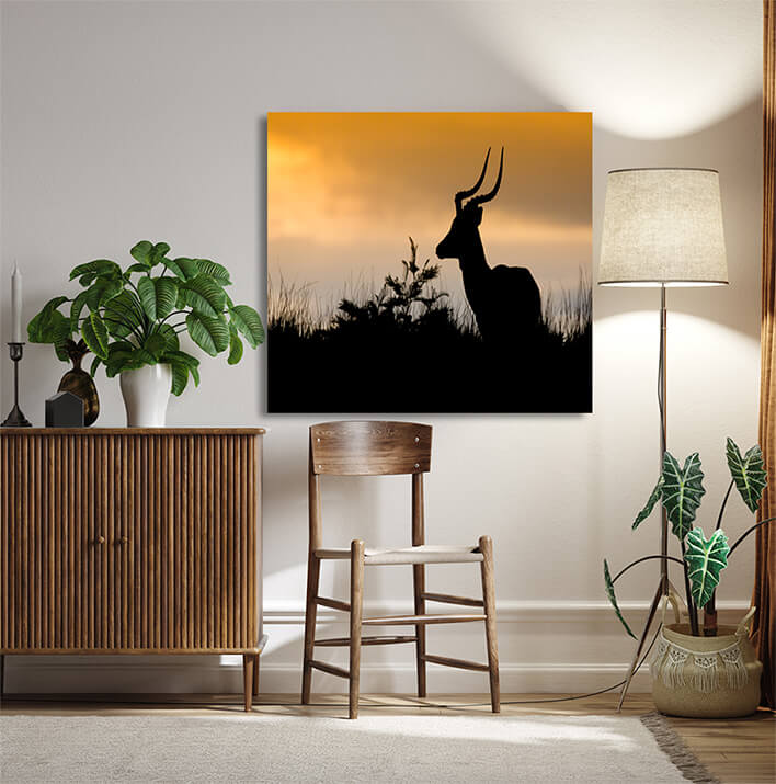 M10 0036 MOCKUPS LAND 0039 19173082 african antelope silhouette AOAY2190