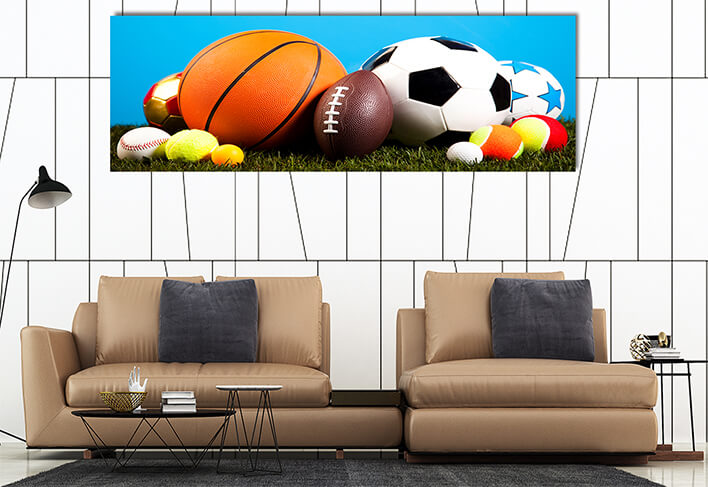M11 0006 ML 0019 16836544 sports equipment detail natural colorful tone AOAY2622