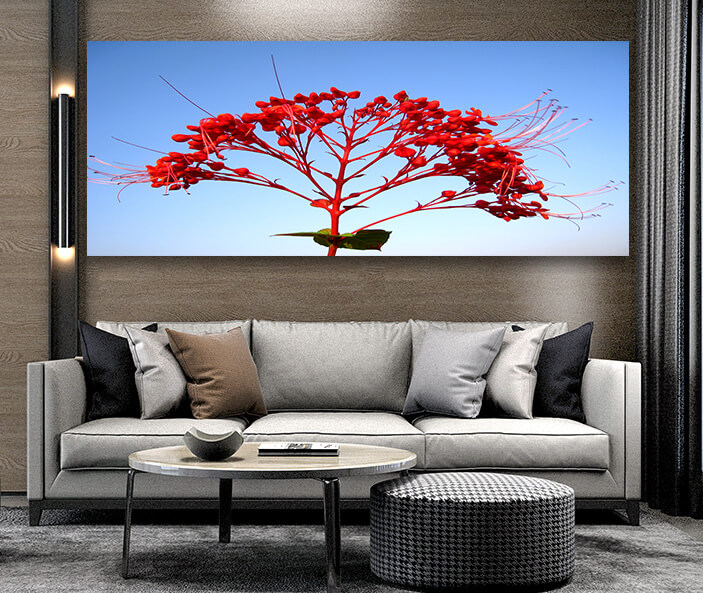 M12 0041 ML 0040 20781312 red flower AOAY2444