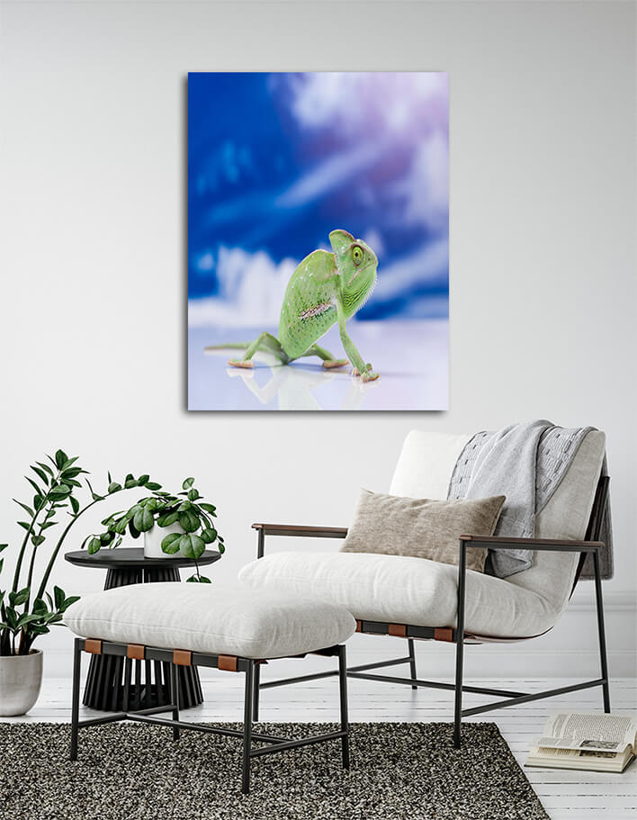M16 0018 MOCKUP P 0113 PRINT 0013 16820976 chameleon on the blue sky bright vivid exotic climate AOAY1909