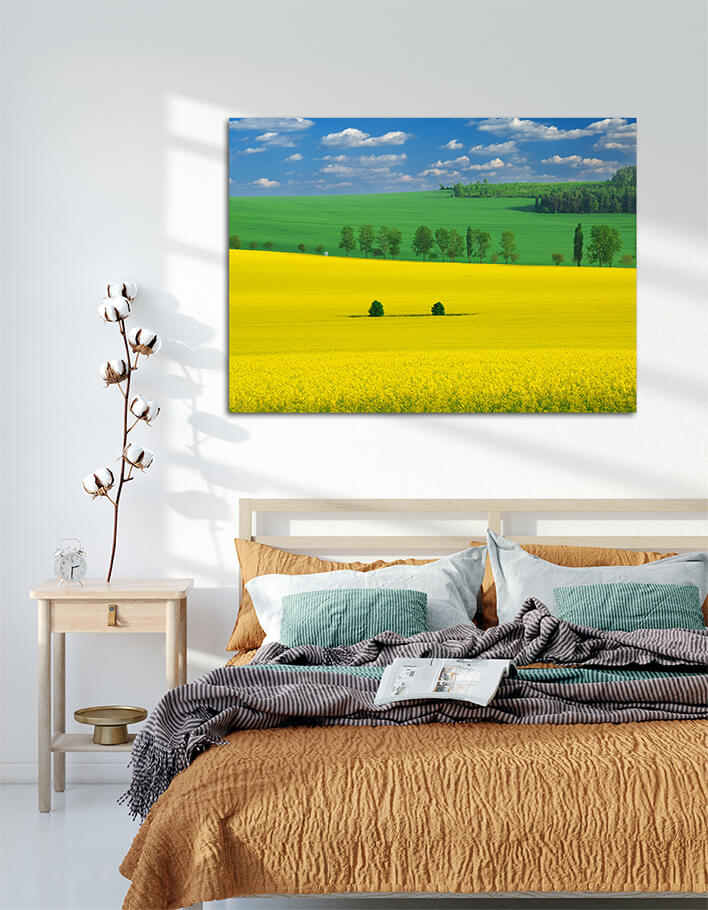 M1 0002 ML 0036 5101418 colors of the spring AOAY2562