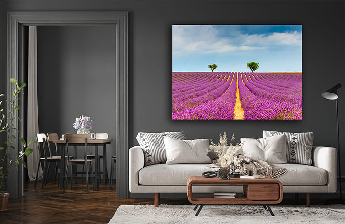 M1_0002_MOCKUP_LAND_0031_31515310_lavender-field-at-valensole-in-the-alpes-de-haute-provence-france_AOAY2346