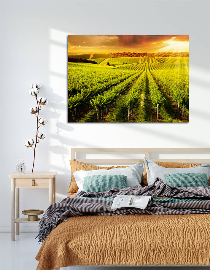 M1 0009 ML 0029 14456784 winery gold AOAY2569