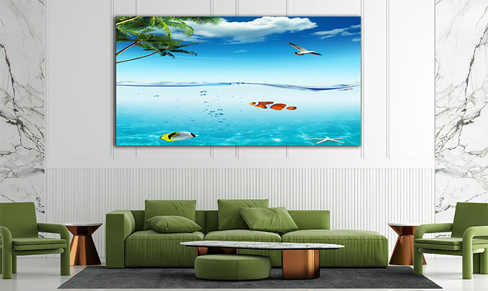 M1 0021 ML 0015 6267622 ocean and tropical fishes AOAY2068