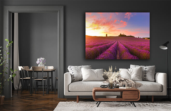 M1 0023 MOCKUP LAND 0010 26767674 panorama of lavender field at sunrise AOAY2332