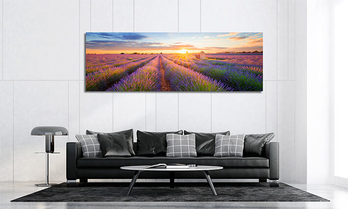 M1_0033_ML_0029_22385920_panoramic-view-of-lavender-filed-in-valensole-at-sunset_AOAY2244