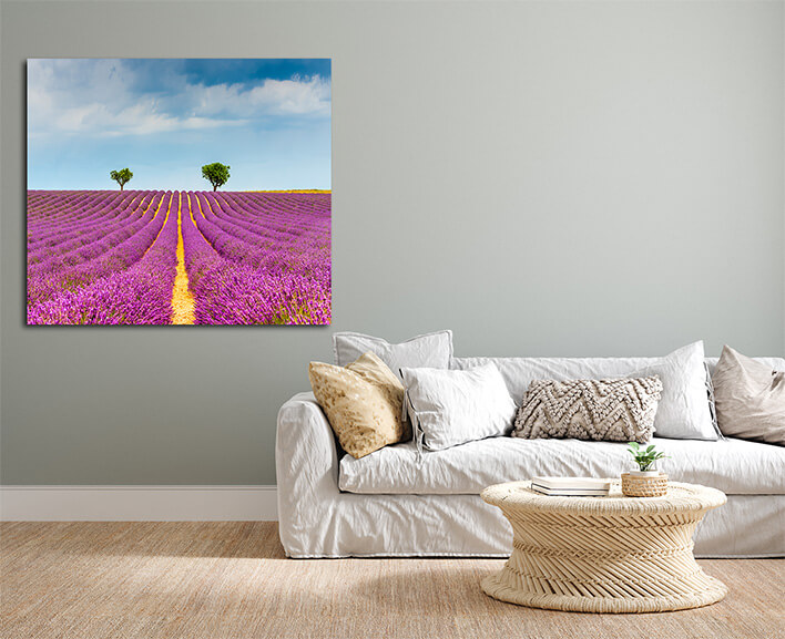 M2_0001_MOCKUP_LAND_0031_31515310_lavender-field-at-valensole-in-the-alpes-de-haute-provence-france_AOAY2346