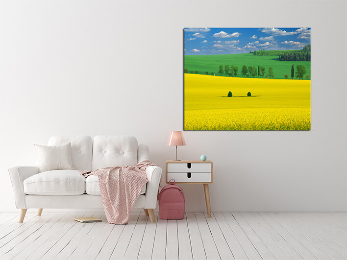 M2 0012 ML 0036 5101418 colors of the spring AOAY2562
