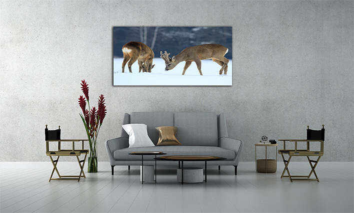 M2 0017 ML 0021 21207718 roe AOAY2290