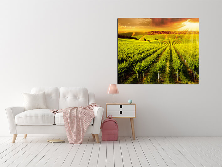M2 0019 ML 0029 14456784 winery gold AOAY2569