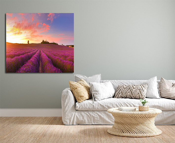 M2 0022 MOCKUP LAND 0010 26767674 panorama of lavender field at sunrise AOAY2332