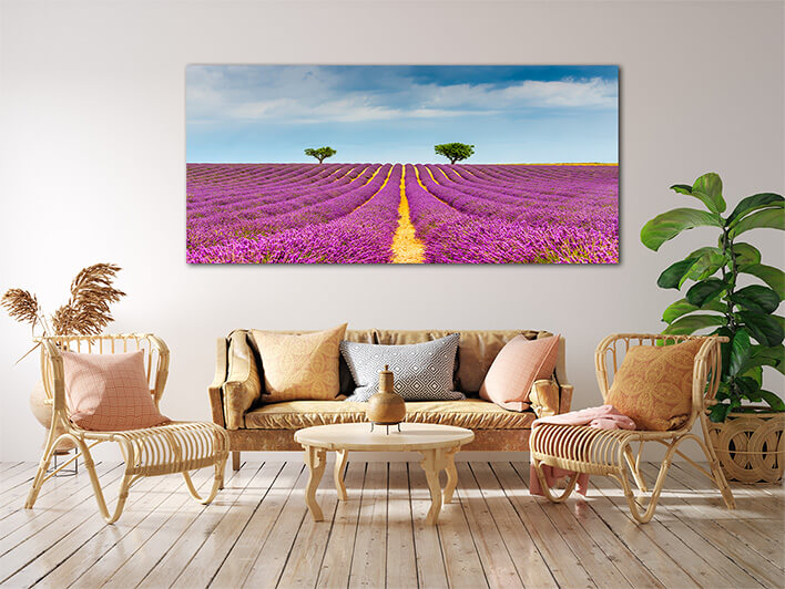 M3_0002_MOCKUP_LAND_0031_31515310_lavender-field-at-valensole-in-the-alpes-de-haute-provence-france_AOAY2346