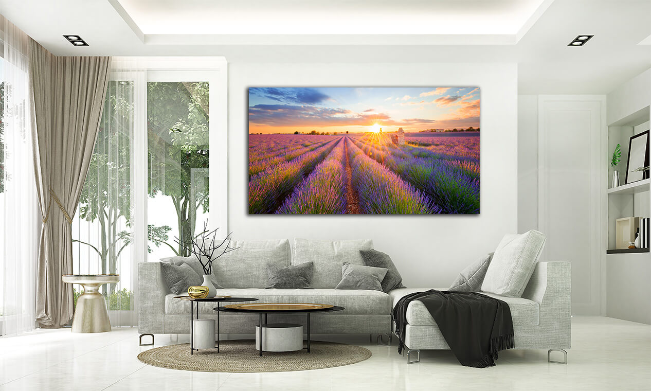 M3_0010_ML_0029_22385920_panoramic-view-of-lavender-filed-in-valensole-at-sunset_AOAY2244