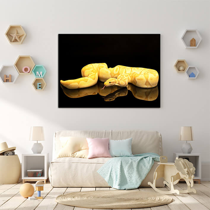 M3 0015 ML 0004 36671358 Brown green and yellow buttermorph ballpython adult full body lying AOAY156