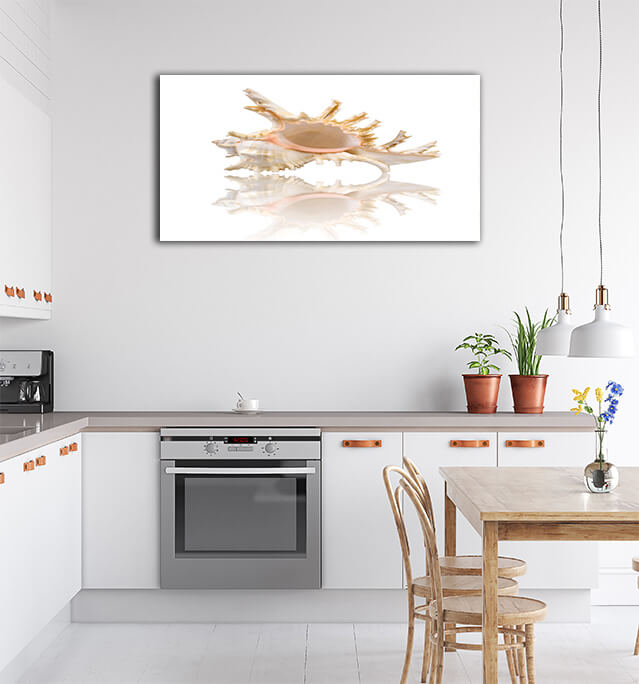 M3 0016 ML 0000 1349972 cockleshell with reflection on the white surface AOAY2426