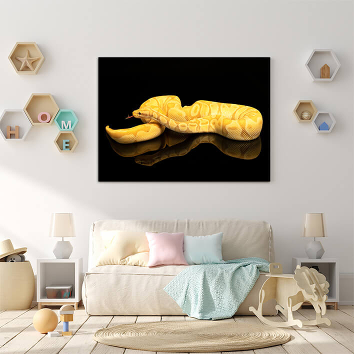 M3 0016 ML 0003 36671360 Brown green and yellow buttermorph ballpython reflection AOAY2498