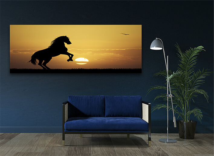 M3 0016 MOCKUPS LAND 0043 14274534 horse at sunset AOAY2186