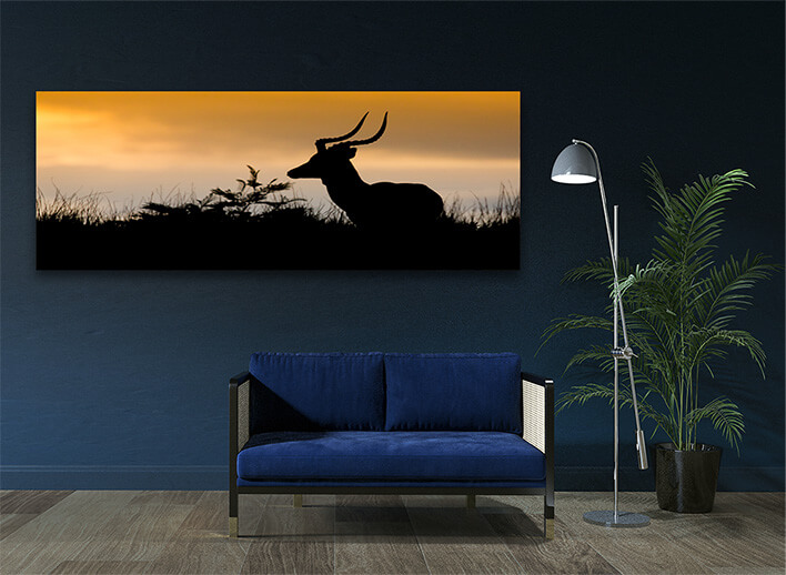 M3 0020 MOCKUPS LAND 0039 19173082 african antelope silhouette AOAY2190