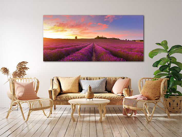 M3 0023 MOCKUP LAND 0010 26767674 panorama of lavender field at sunrise AOAY2332
