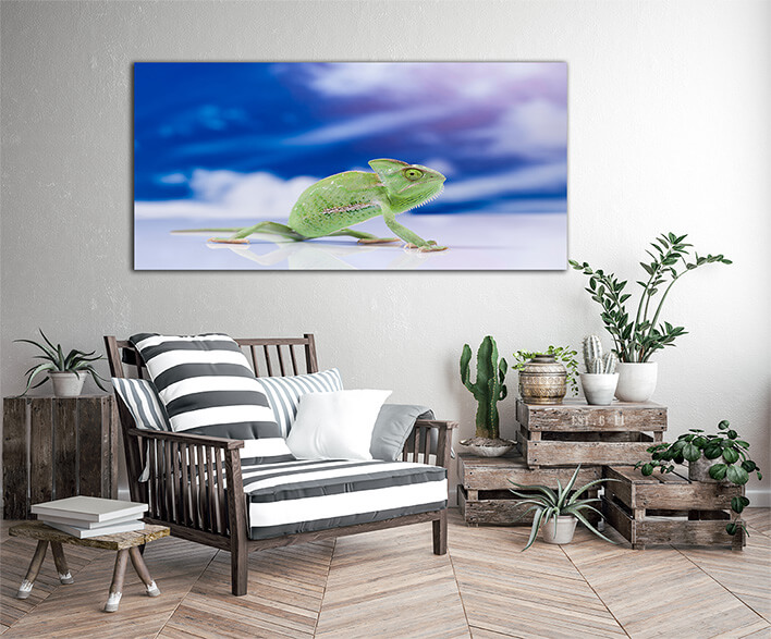 M3 0031 MOCKUP L 0013 16820976 chameleon on the blue sky bright vivid exotic climate AOAY1909