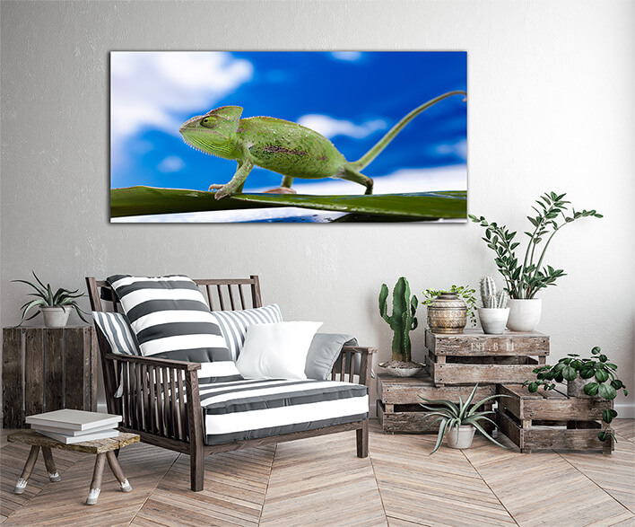 M3 0033 MOCKUP L 0011 16821212 chameleon on the blue sky bright vivid exotic climate AOAY1911