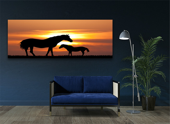 M3_0059_MOCKUPS_LAND_0017_22948742_colt-with-the-mare-at-sunset_AOAY2212