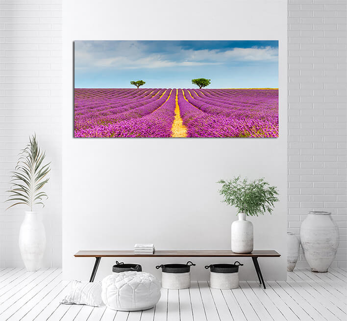 M4_0000_MOCKUP_LAND_0031_31515310_lavender-field-at-valensole-in-the-alpes-de-haute-provence-france_AOAY2346