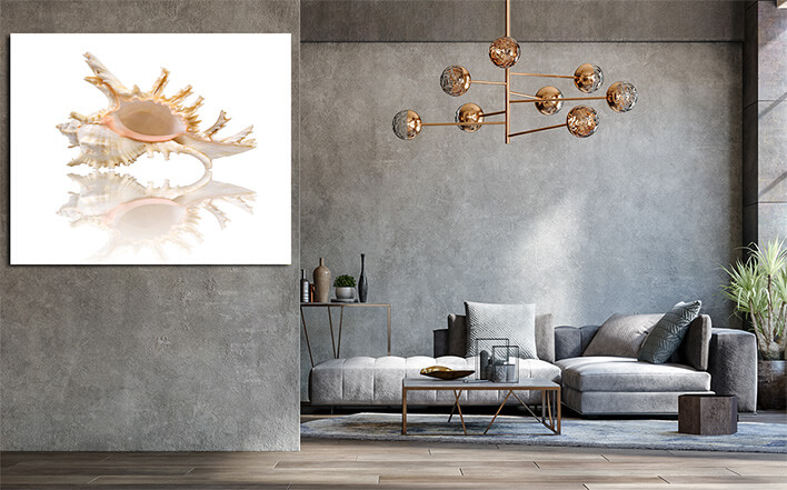 M4 0013 ML 0000 1349972 cockleshell with reflection on the white surface AOAY2426