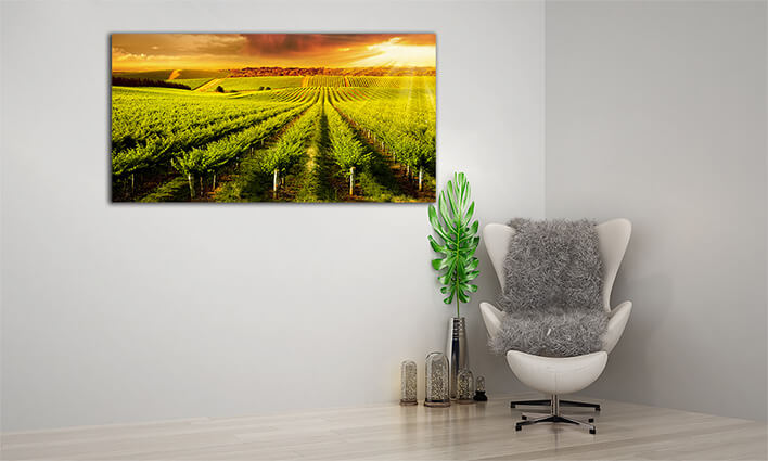 M4 0021 ML 0029 14456784 winery gold AOAY2569