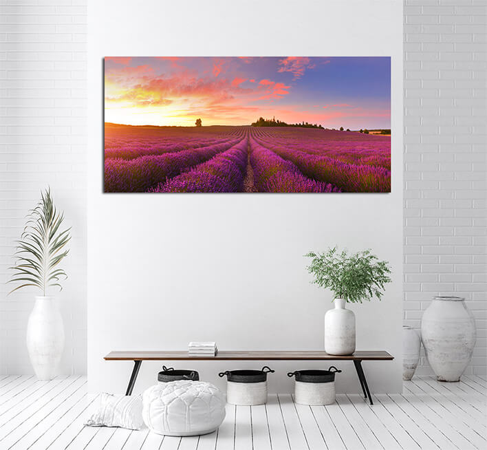 M4 0021 MOCKUP LAND 0010 26767674 panorama of lavender field at sunrise AOAY2332