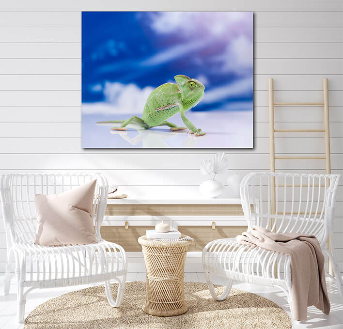 M4 0031 MOCKUP L 0013 16820976 chameleon on the blue sky bright vivid exotic climate AOAY1909