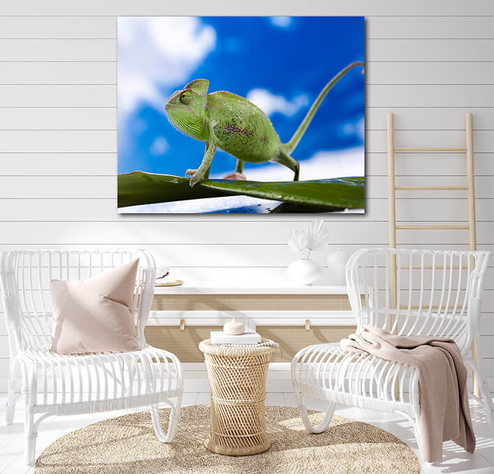M4 0033 MOCKUP L 0011 16821212 chameleon on the blue sky bright vivid exotic climate AOAY1911
