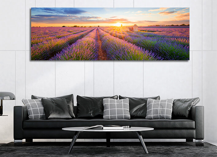 M4_0034_ML_0029_22385920_panoramic-view-of-lavender-filed-in-valensole-at-sunset_AOAY2244